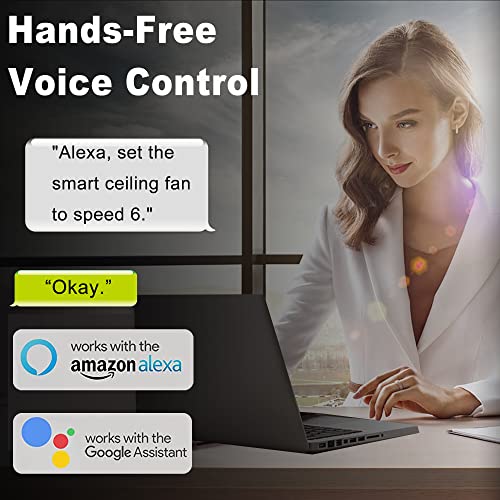 Black Smart Ceiling Fan with Lights and Remote