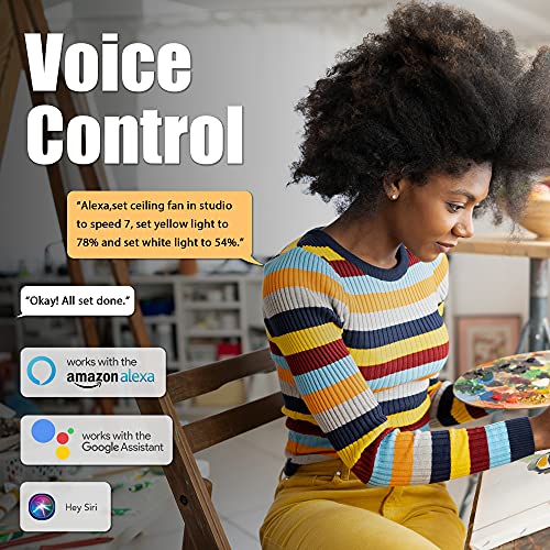 Smart Ceiling Fan with Lights for Indoor & Outdoor