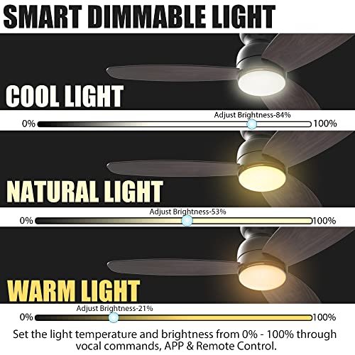 Smart Ceiling Fan with Lights for Indoor & Outdoor