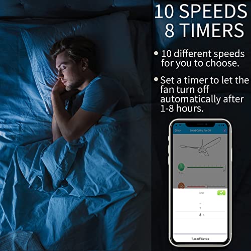 Smart Ceiling Fan with Lights for Indoor & Outdoor