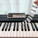 BEATBIT Piano Notes Guide for Beginner, Removable Piano Keyboard Note Labels for Learning, 88-Key Full Size, Made of Silicone, No Need Stickers, Reusable and Comes with Box (Classic Black）