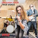 Pyle Professional Dynamic Vocal Microphone - Moving Coil Dynamic Cardioid Unidirectional Handheld Microphone with ON/OFF Switch Includes 15ft XLR Audio Cable to 1/4'' Audio Connection - PDMIC59