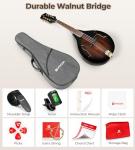 Vangoa Mandolin Instrument A Style, Acoustic Mandolin Musical Instrument Solid Spruce Top 8 String for Beginners, Adults, Teens, Dark Brown