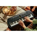 Casio Casiotone SA-81 – Compact Keyboard with 100 Tones & 50 Rhythms | Fun for Beginners | Great for Music Practice and Learning