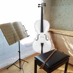 Ktaxon Full-Size Cello, Beginner Cello 4/4, Acoustic Cello Set with Portable Bag, Bow, Rosin, Bridge, Adults & Kids String Musical Instruments(White)