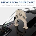 Ktaxon Full-Size Cello, Beginner Cello 4/4, Acoustic Cello Set with Portable Bag, Bow, Rosin, Bridge, Adults & Kids String Musical Instruments(Black)