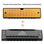 EastRock Blues Harmonica Mouth Organ 10 Hole C Key with Case, Diatonic Harmonica for Professional Player, Beginner, Students gifts, Adult, Friends, Gift Black