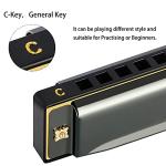EastRock Blues Harmonica Mouth Organ 10 Hole C Key with Case, Diatonic Harmonica for Professional Player, Beginner, Students gifts, Adult, Friends, Gift Black