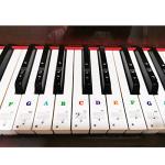 Piano Keyboard Stickers for 88/61/54/49/37 Key, Bold Large Letter Piano Stickers for Learning, Removable Piano Keyboard Letters, Notes Label for Beginners and Kids, Multicolor