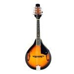 YoungMonic Mandolin Musical Instrument A Style Acoustic Mandolin Instrument Kit 8 String for Beginners Adults with Carrying Case Extra Strings Picks Cleaning Cloth