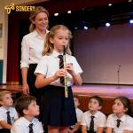 Sondery Irish Tin Whistle Key of D Made from Brass A Bright Brass Wind Type Sound Penny Whistle