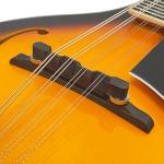 YoungMonic Mandolin Musical Instrument A Style Acoustic Mandolin Instrument Kit 8 String for Beginners Adults with Carrying Case Extra Strings Picks Cleaning Cloth