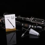Rhythm Bb Clarinet 17 Nickel Keys Woodwind Band & Orchestra Musical Instruments for Beginners Includes Case, Stand, 10 Reeds and Cleaning Kit-Black/Silver keys
