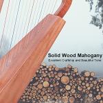 Harp, AKLOT 15 Strings Mahogany Harp 22 Inch Height for Adult Professional Beginner with Tuning Wrench,Black Gig Bag,Strap (NO Spare String, International Standard Strings)