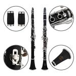 Glory GLY-PBK Professional Ebonite Bb Clarinet with 10 Reeds, Stand, Hard Case, Cleaning Cloth, Cork grease, Mouthpiece Brush and Pad Brush, Black