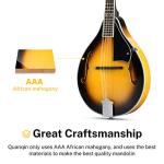 Donner A Style Mandolin Instrument Sunburst Beginner Adult Acoustic Mandolin Musical Instrument Mahogany 8 String, Bundle With Tuner String Bag Guitar Picks,DML-1