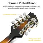 Donner A Style Mandolin Instrument Sunburst Beginner Adult Acoustic Mandolin Musical Instrument Mahogany 8 String, Bundle With Tuner String Bag Guitar Picks,DML-1