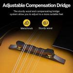 Donner A Style Mandolin Instrument Sunburst Beginner Adult Acoustic Mandolin Musical Instrument Mahogany 8 String, Bundle With Tuner String Bag Guitar Picks,DML-1