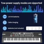 61 keys keyboard piano, Electronic Digital Piano with Built-In Speaker Microphone, Sheet Stand and Power Supply, Portable piano Keyboard Gift Teaching for Beginners