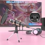 ZealSound Studio Recording Microphone, Condenser Broadcast Microphone w/Stand Built-in Sound Card Echo Recording Karaoke Singing for Phone Computer PC Garageband Smule Live Stream & YouTube (Gold)