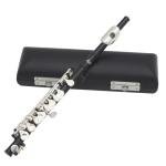 Luwecf C Key Piccolo Lightweight Easy to Play Woodwind Instrument 16 Hole Flute for Stage Performance Practice Classroom Beginner, Black
