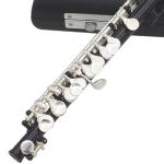 Luwecf C Key Piccolo Lightweight Easy to Play Woodwind Instrument 16 Hole Flute for Stage Performance Practice Classroom Beginner, Black
