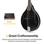 Donner A Style Mandolin Instrument Black Beginner Adult Acoustic Mandolin Musical Instrument Mahogany 8 String, Bundle With Tuner String Bag Guitar Picks, DML-100B