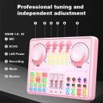 Podcast Equipment Bundle for 2: Audio Interface & DJ20 Mixer with XLR Mic, Voice Changer, 2400mAh Battery for Podcasting, TikTok Live Streaming, and Gaming (Pink)