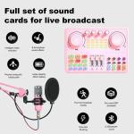 Podcast Equipment Bundle for 2: Audio Interface & DJ20 Mixer with XLR Mic, Voice Changer, 2400mAh Battery for Podcasting, TikTok Live Streaming, and Gaming (Pink)