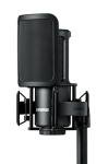Shure SM4 Studio Recording Microphone Kit, XLR Home Studio Condenser Mic with Mix-Ready Audio - All-Metal Construction, Includes Detachable Magnetic Pop Filter & Shock Mount (SM4-K-KIT)