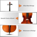 EMILOREY 4/4 Acoustic Full Size Cello Set with Portable Bag, Bow, Rosin, Stand,Cello Kit for Adults,Beginners, String Musical Instruments Natural Color