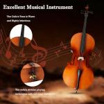 EMILOREY 4/4 Acoustic Full Size Cello Set with Portable Bag, Bow, Rosin, Stand,Cello Kit for Adults,Beginners, String Musical Instruments Natural Color
