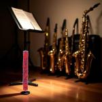 SquarezhenBo Red Saxophones Bend Neck Cleaning Brush Soft Clarinet Cleaner Microfiber Care Tool Woodwinds Neck Saver Clean Brushes for Tenor Bass Saxophones Wind and Woodwind Accessories