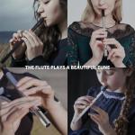 VixxNoxx Irish Tin Whistle in C Key with Music Book & Bag, 6-Hole Traditional Penny Whistle Flute for Adults & Beginners, Brass Wind Instrument for Celtic Folk Music (Sliver)