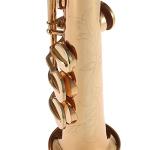 Btuty Brass Straight Soprano Sax Saxophone Bb B Flat Woodwind Instrument Natural Shell Key Carve Pattern with Carrying Case Gloves Cleaning Cloth Straps Cleaning Rod
