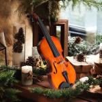 Ceciliec Acoustic Violin, 1/4 Full Size Violin Starter Kit for Beginners, Natural Varnish Fiddle Stringed Musical Instrument with Case, Bow, Rosin, Bridge, Extra Strings