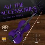 Ceciliec 16 Inch Acoustic Viola Set, Beginner Handmade Varnish Solid Wood Viola for Adults, Students, Musical Instrument Viola Set with Case, Bow, Rosin, Bridge and Strings,Purple