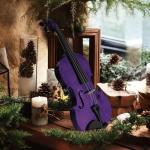 Ceciliec 16 Inch Acoustic Viola Set, Beginner Handmade Varnish Solid Wood Viola for Adults, Students, Musical Instrument Viola Set with Case, Bow, Rosin, Bridge and Strings,Purple