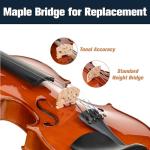 Mendini by Cecilio 14 Inch Solid Wood Viola Set for Beginners - Hand Carved Acoustic Viola Kit with Hard Case, Bow, Rosin, Bridge and Extra Strings