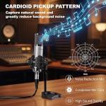 PROAR Studio Microphone, Professional Cardioid XLR Condenser Recording Mic Voice Over Kit with Desktop Stand for Music, Singing, Podcasting, and Vocal Streaming