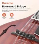 OLXIYOC Mandolin Musical Instrument A Style, Acoustic Mandolin Instrument Kit Italian 8 String for Professional Beginners Adults Teens Youth Kids, Sunburst, Glossy