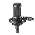 Audio-Technica AT2035 Cardioid Condenser Microphone, Perfect for Studio, Podcasting & Streaming, XLR Output, Includes Custom Shock Mount