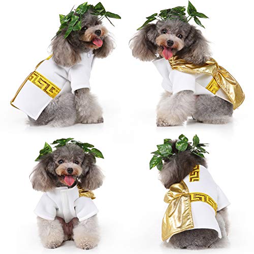 Funny Roman Toga Costume for Small Dogs