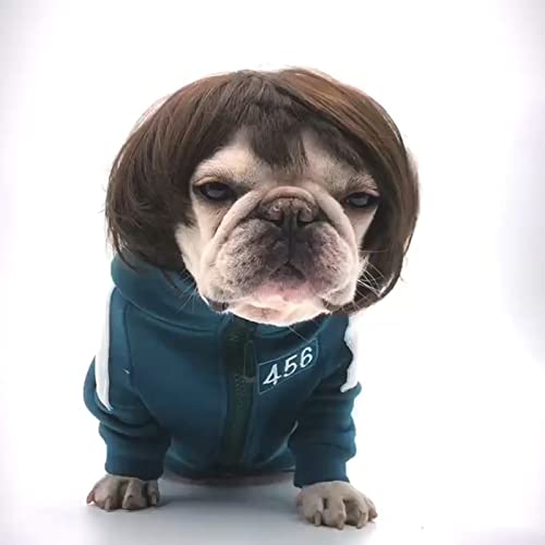 Funny Pet Cosplay Wig for Halloween & Parties