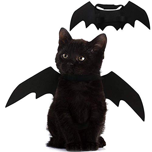 Cat Bat Wings Costume for Halloween Fun