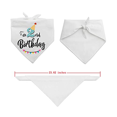 Cute Dog Birthday Bandana and Crown Set
