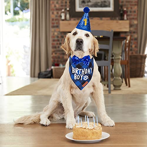 Blue Birthday Bandana and Hat for Big Dogs