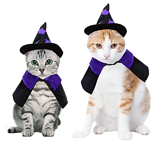 Pet Halloween Costume - Witch Cape and Hat