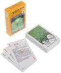 Edible Wild Foods Card Game for Everyone