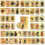 Italian Brainrot Gold Cards & Keychain Blind Box